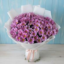 Букет цветов из:  Хризантемы #REPLACE_PRED# Анапской