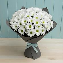 Букет цветов из:  Хризантемы #REPLACE_PRED# Анапской