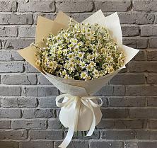 Букет цветов из:  Ромашки #REPLACE_PRED# Анапской