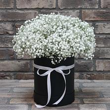Композиция коробка гипсофил в Анапской Цветочная композиция из Гипсофила в шляпной коробке в Анапской